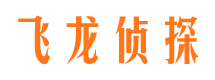 安达飞龙私家侦探公司